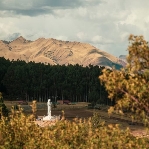 Cristo blanco