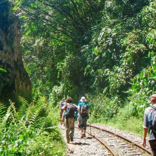 Inca-Jungle-Trail-to-Machu-Picchu-01